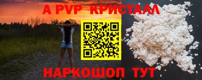 СК Кунгур
